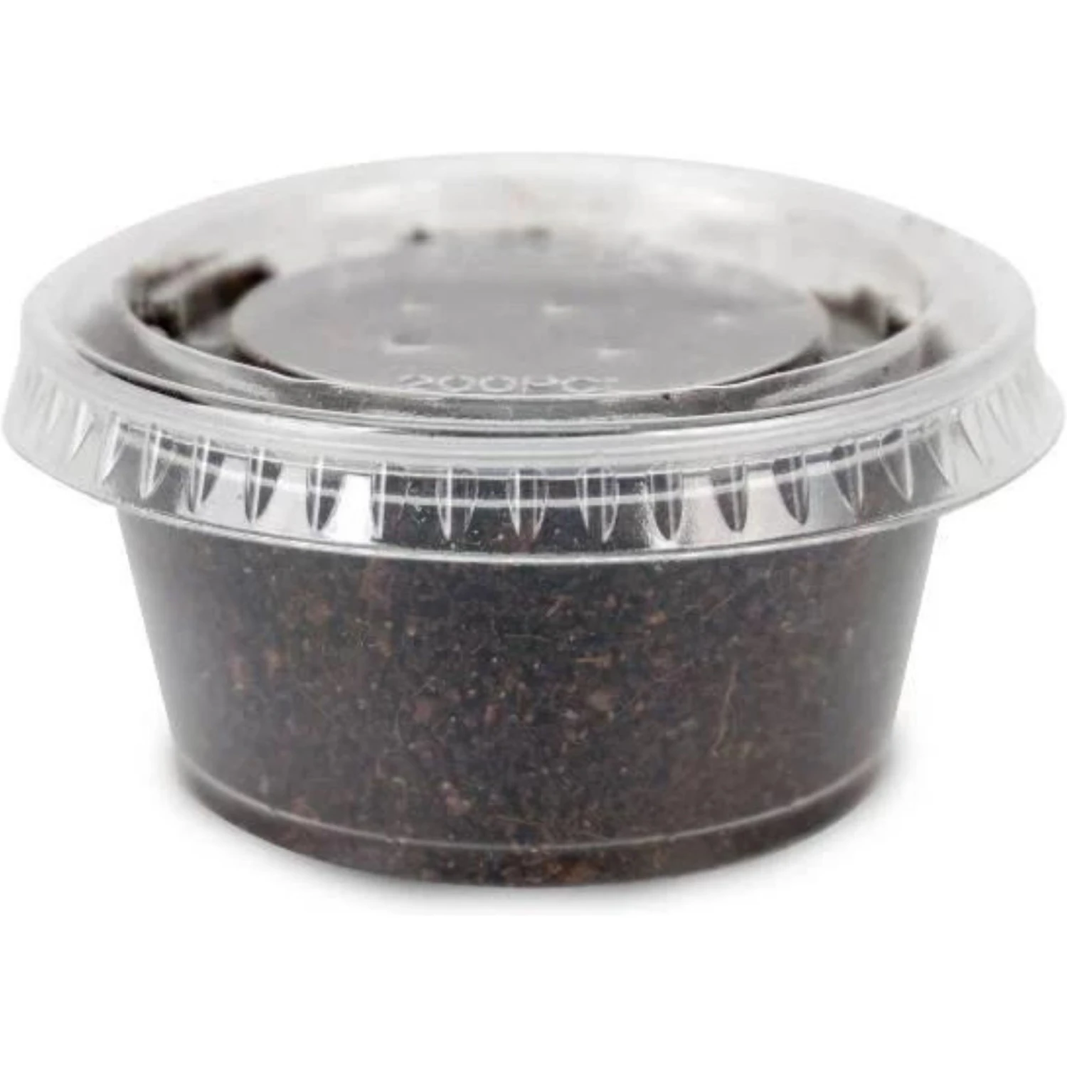 Josh's Frogs Baby Bearded Dragon Feeder Bundle - Image 5