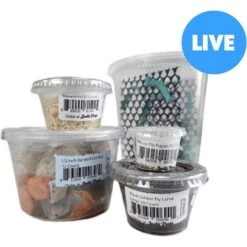 Josh's Frogs Chameleon Feeder Bundle