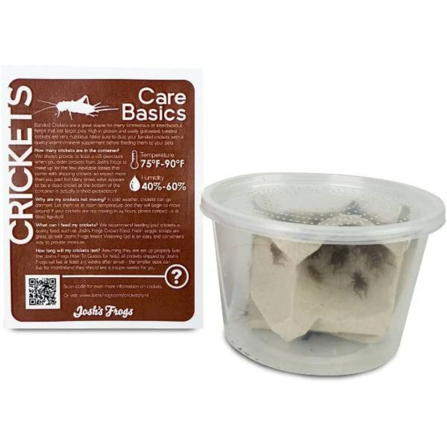 Josh's Frogs Chameleon Feeder Bundle - Image 2