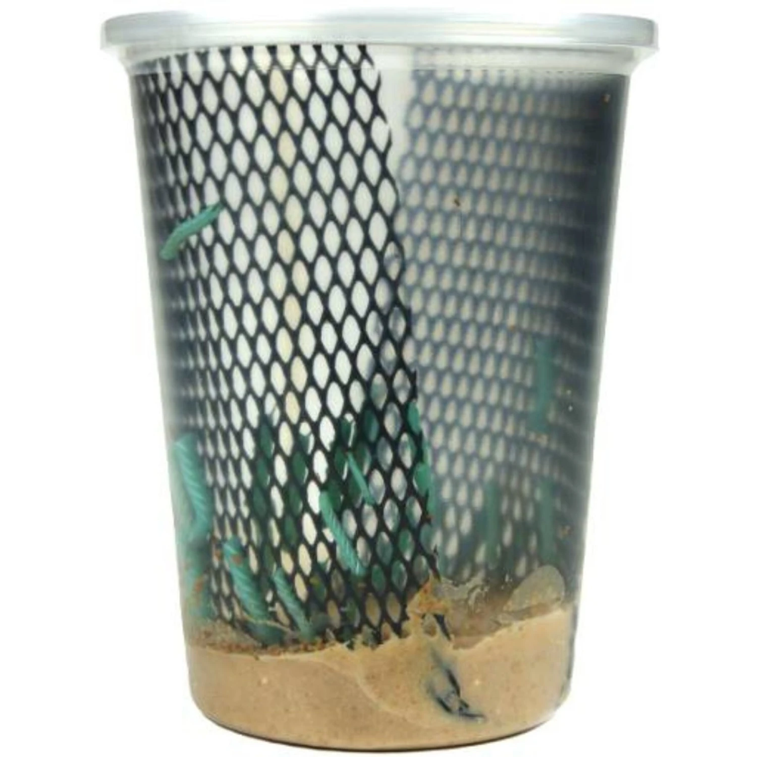 Josh's Frogs Chameleon Feeder Bundle - Image 9