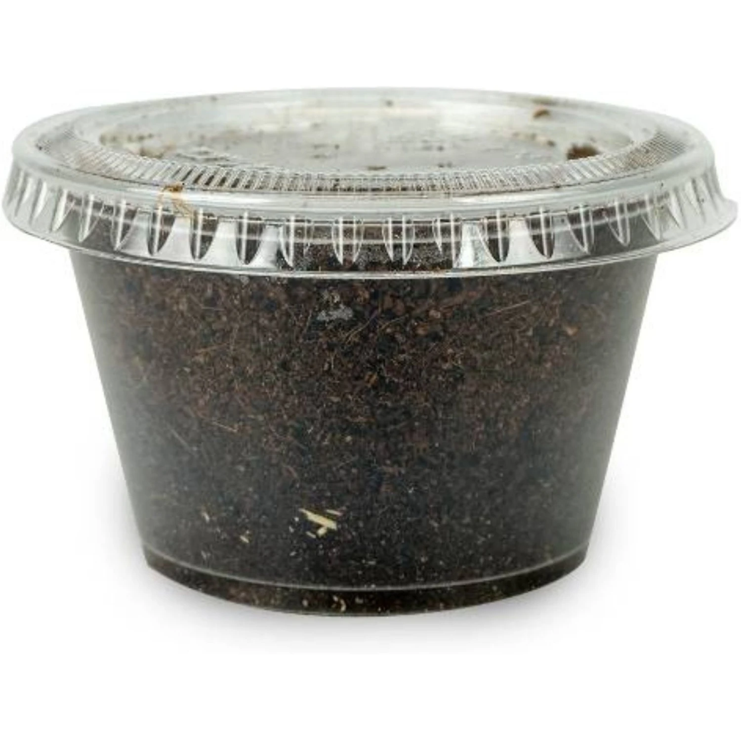 Josh's Frogs Crested Gecko Feeder Bundle - Image 6