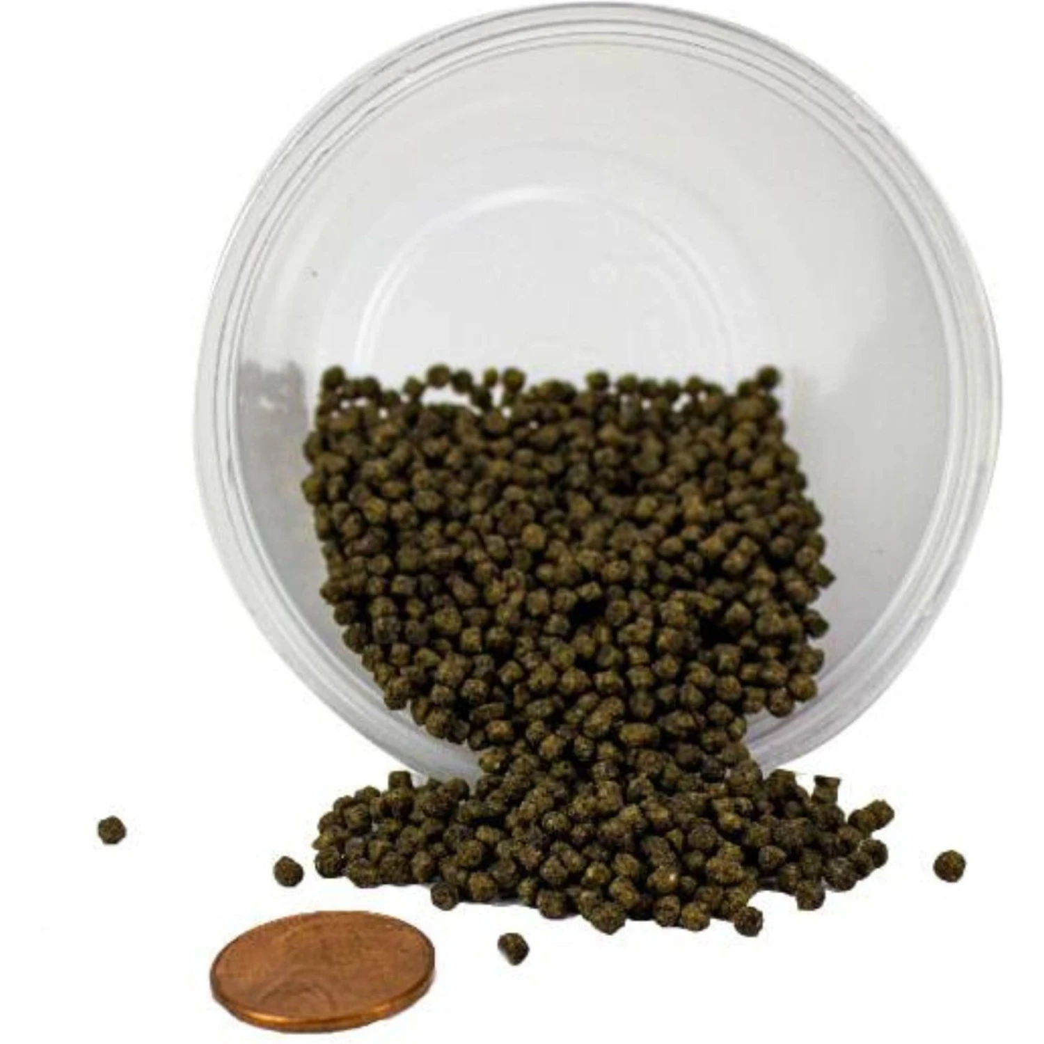 Josh's Frogs Baby/Juvenile Aquatic Turtle Feeder Bundle - Image 4