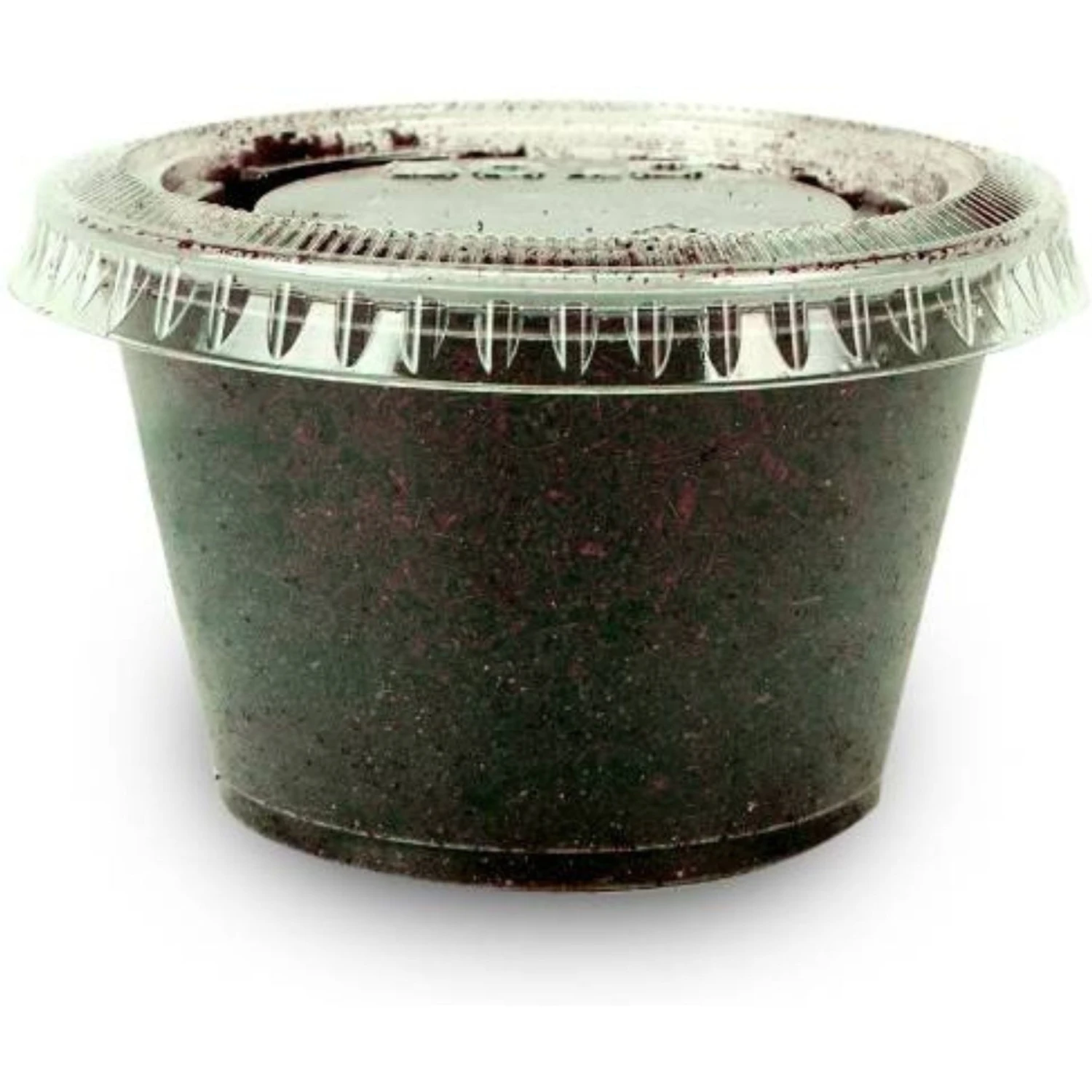 Josh's Frogs Baby/Juvenile Aquatic Turtle Feeder Bundle - Image 5