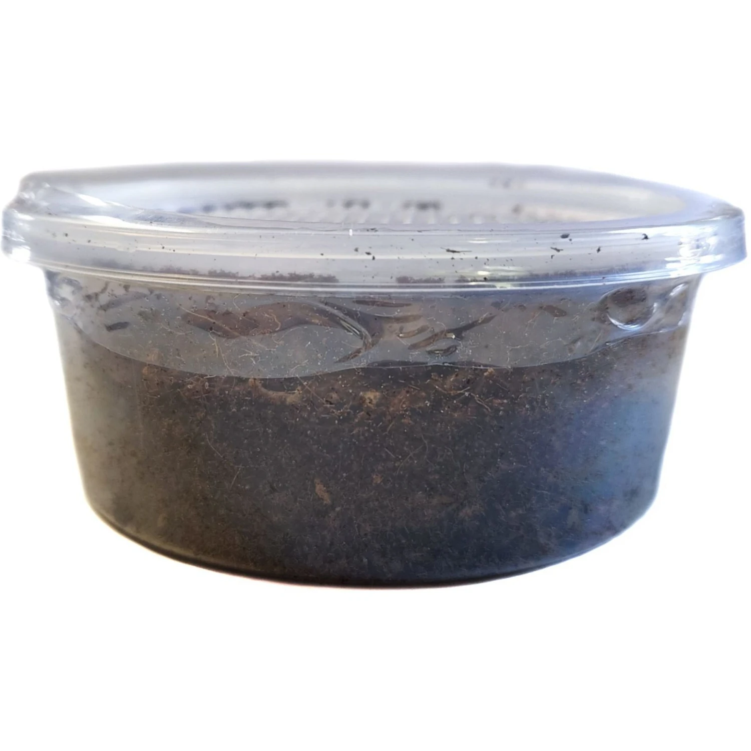 Josh's Frogs Baby/Juvenile Aquatic Turtle Feeder Bundle - Image 7