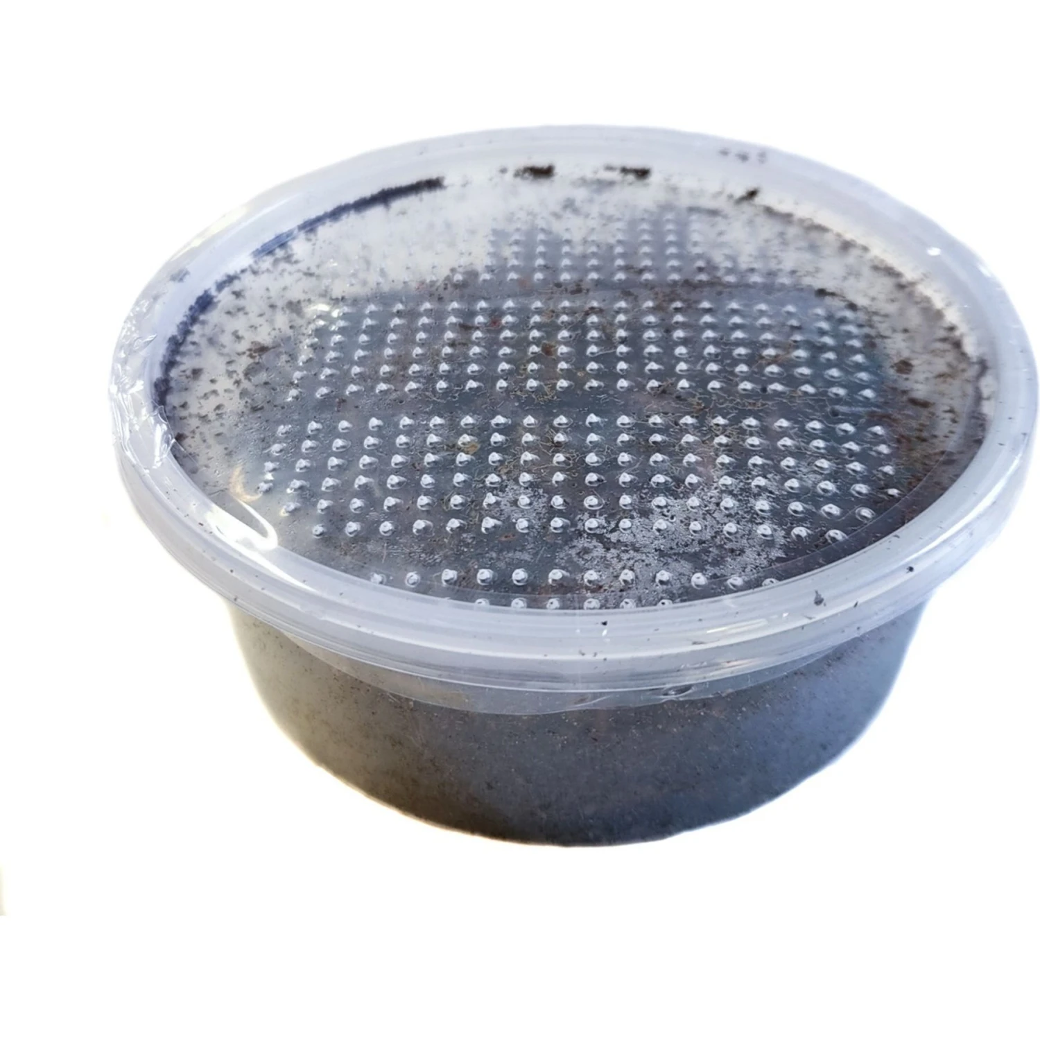 Josh's Frogs Baby/Juvenile Aquatic Turtle Feeder Bundle - Image 8