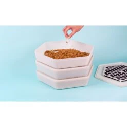 The Bug Factory Mealworm Growing Pod Reptile Feeder, White & Green