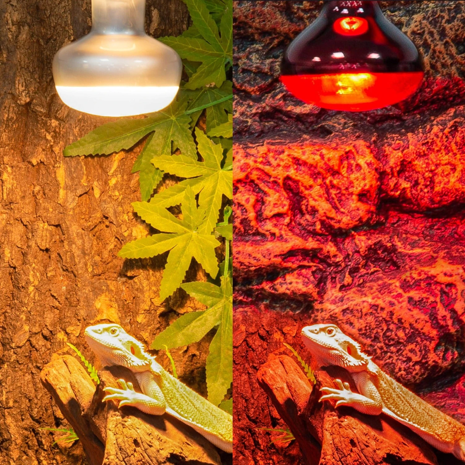 REPTI ZOO Basking Spot Lamp & Nocturnal Infrared Heat Lamp-75W Reptile Bulb, Multicolor, 4 Count - Image 5