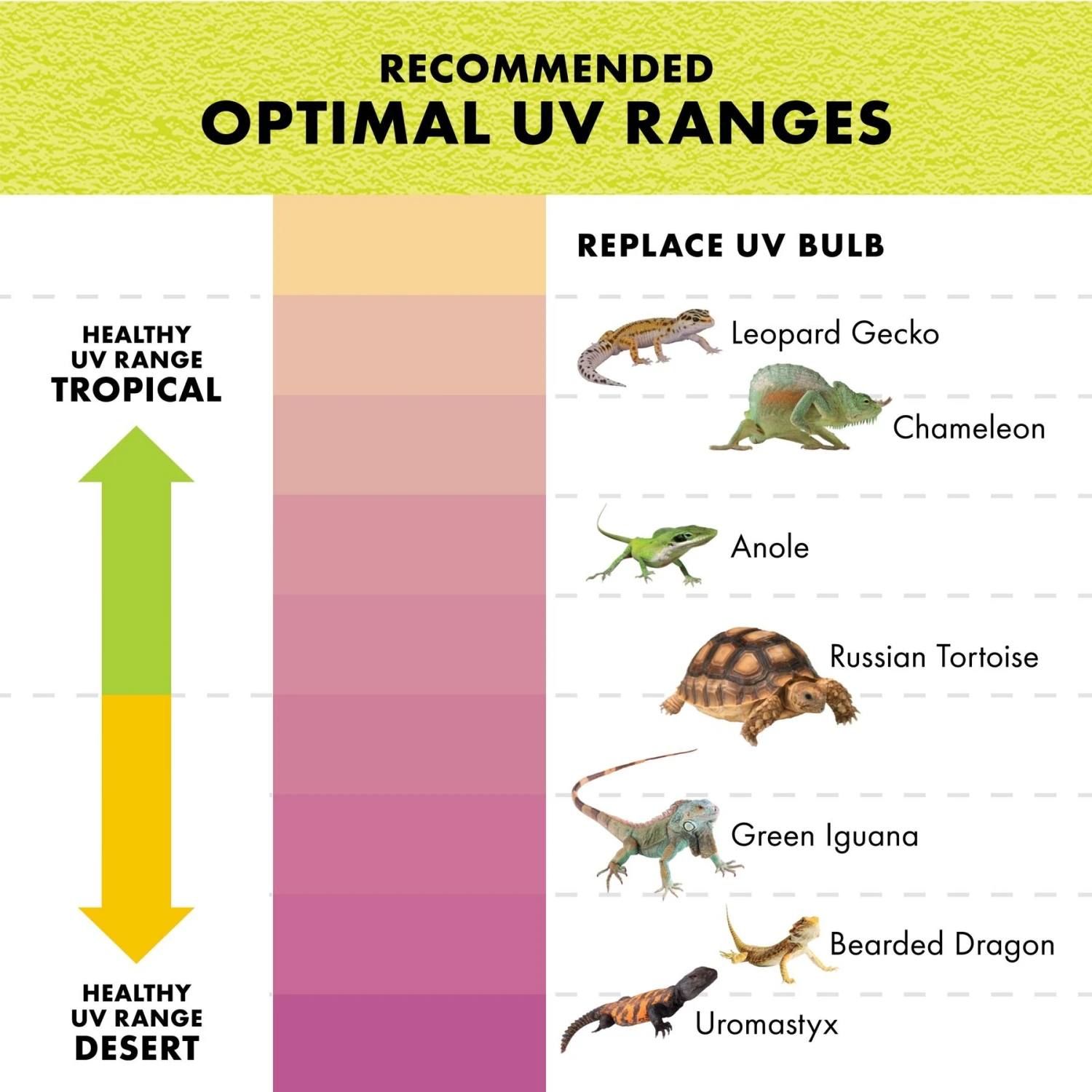 Zilla Rapid Sense Decor Poplar Log Reptile Deicer - Image 6