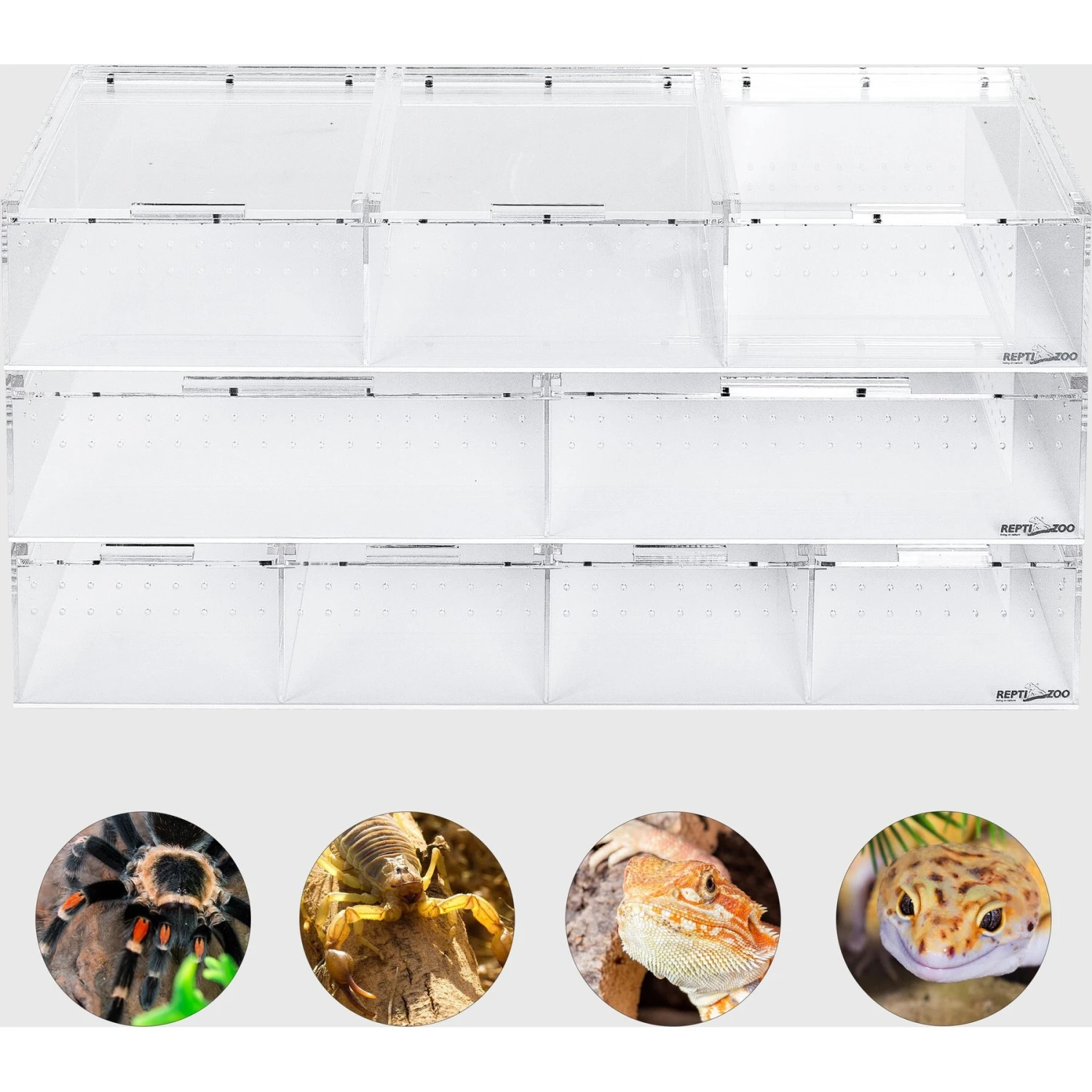 REPTI ZOO Compact Acrylic Breeding Case With Divider Reptile Terrarium, Clear, 3 Count - Image 6