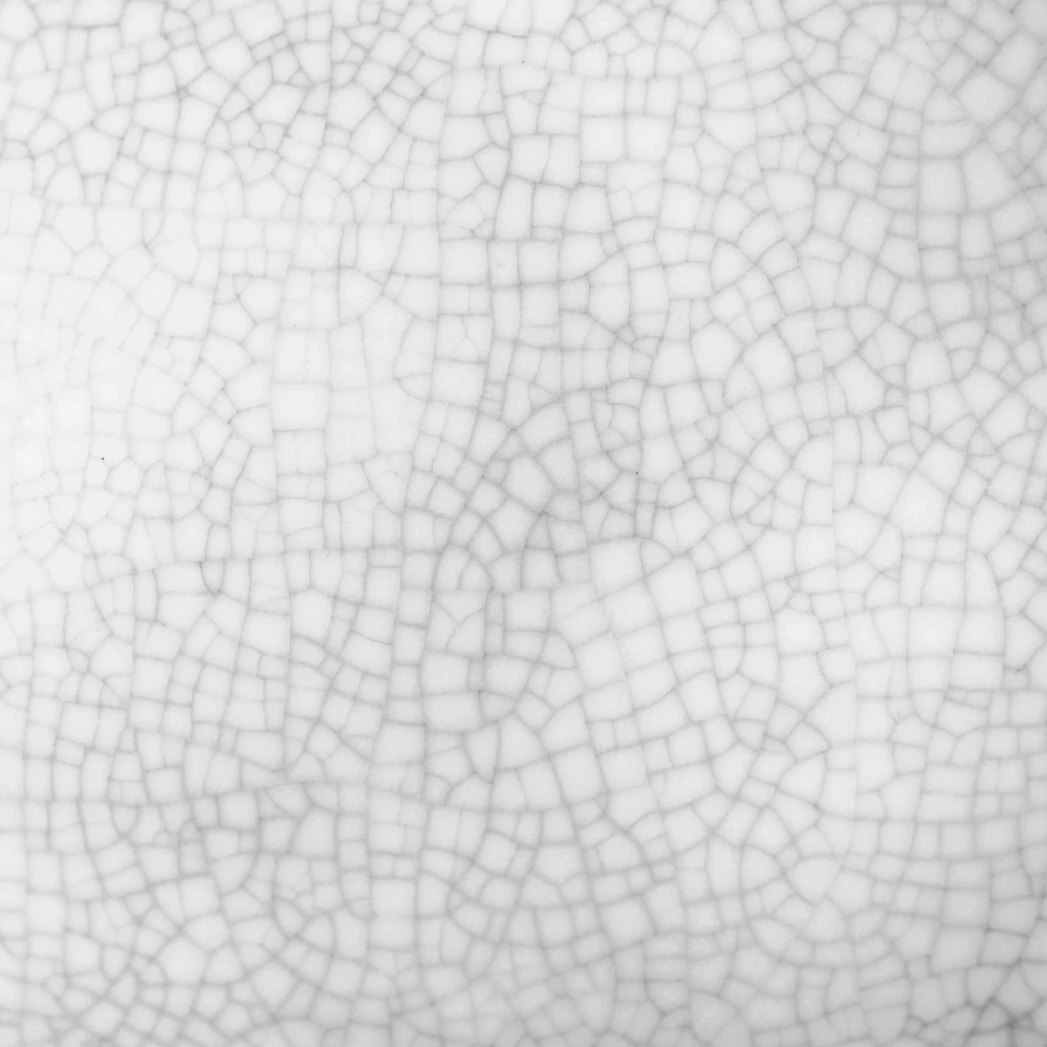 Galapagos Ceramic Egg Reptile Bowl, White - Image 4