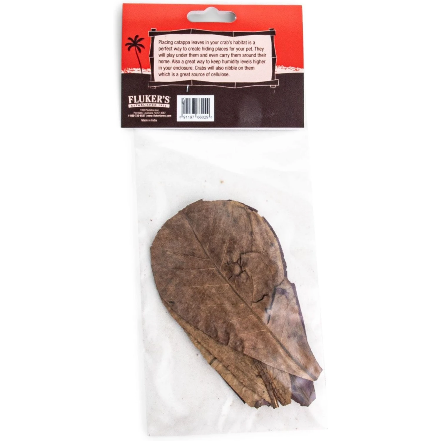 Fluker's Hermit Headquarters Catappa Leaves Reptile, 5 Count - Image 2