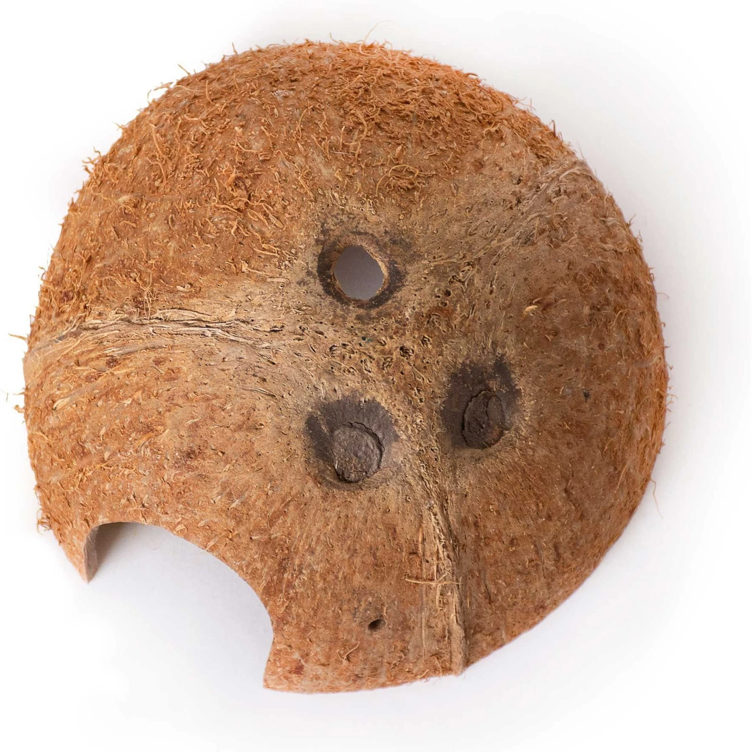 Galapagos Coconut Hut Reptile Hideout, Natural - Image 2