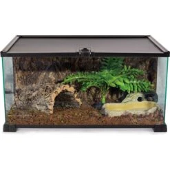 REPTI ZOO Mini 10-gallon Reptile Glass Terrarium, Black