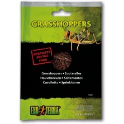 Exo Terra Grasshoppers Vacuum Packed Reptile Food, 0.53-oz Bag