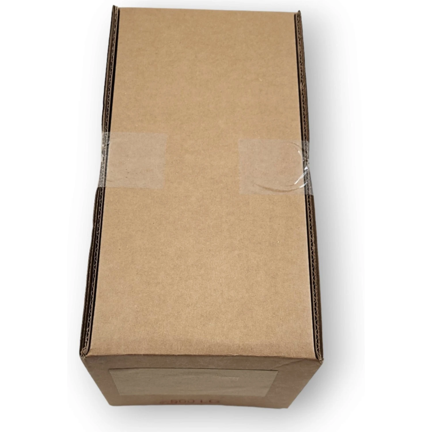 Josh's Frogs Large Adult Banded Crickets Live Feed Reptile Food, 1-in - Image 6