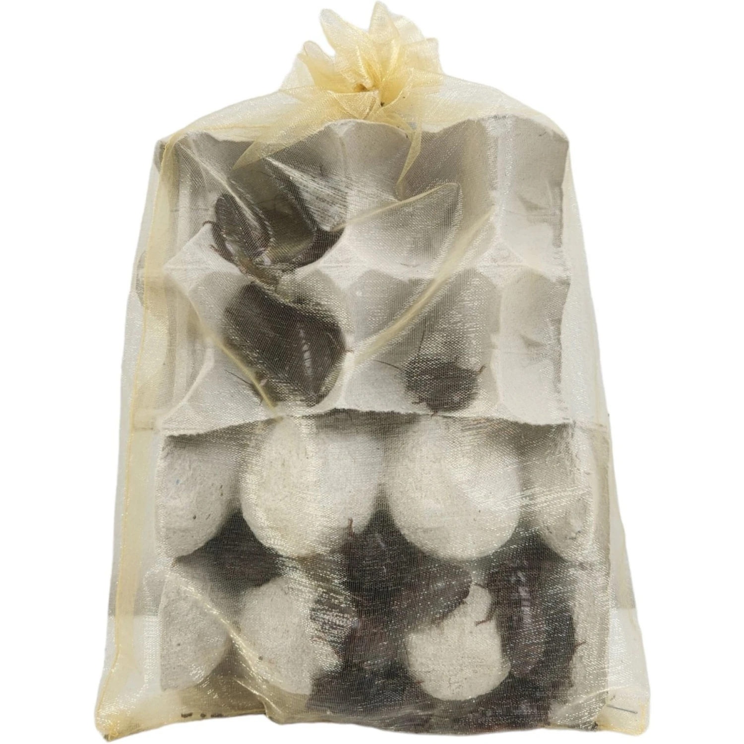 Josh's Frogs Large Orange Head Roaches Live Feed Reptile Food, 1-in+ - Image 3