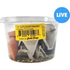 Josh's Frogs Gutloaded Banded Crickets Live Feed Reptile Food, 1/2-in, 72 Count