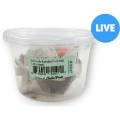 Josh's Frogs Banded Crickets Live Feed Reptile Food, 1/4-in