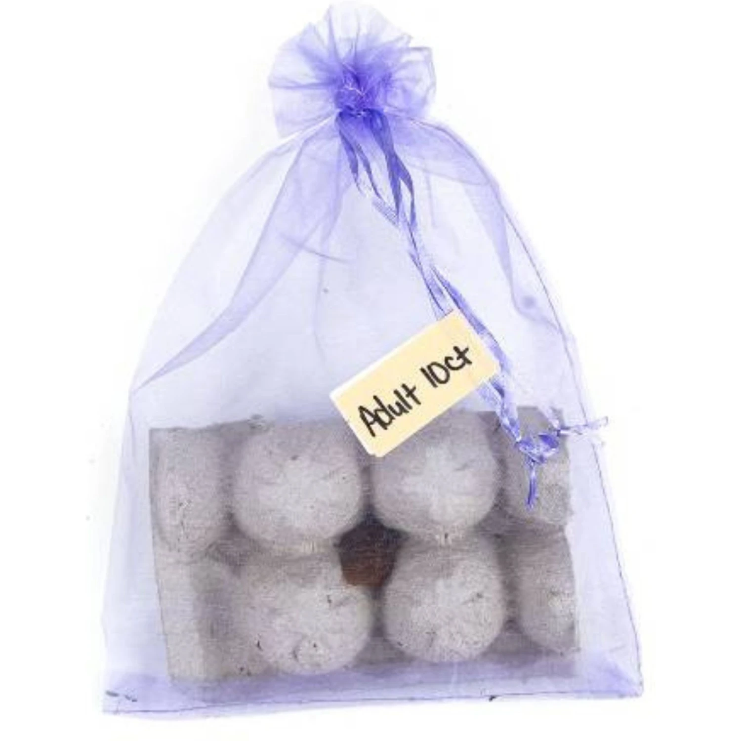 Josh's Frogs Adult Orange Head Roaches Live Feed Reptile Food - Image 9