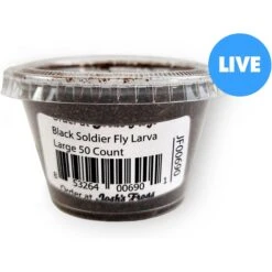 Josh's Frogs Black Soldier Fly Larvae Live Feed Reptile Food