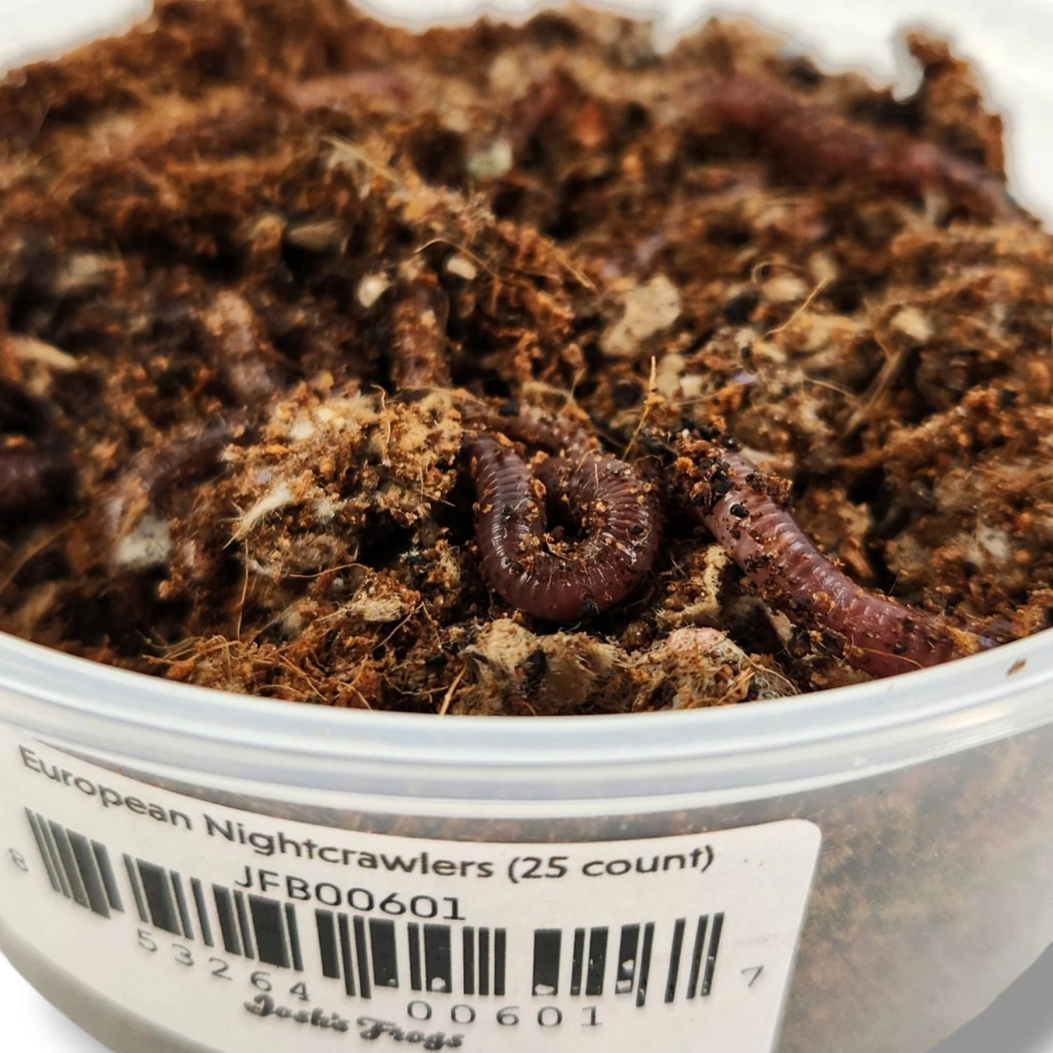 Josh's Frogs European Nightcrawlers Live Feed Reptile Food, 25 Count - Image 3