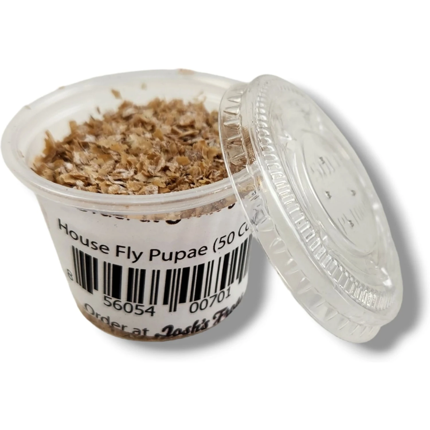 Josh's Frogs House Fly Pupae Live Feed Reptile Food - Image 3