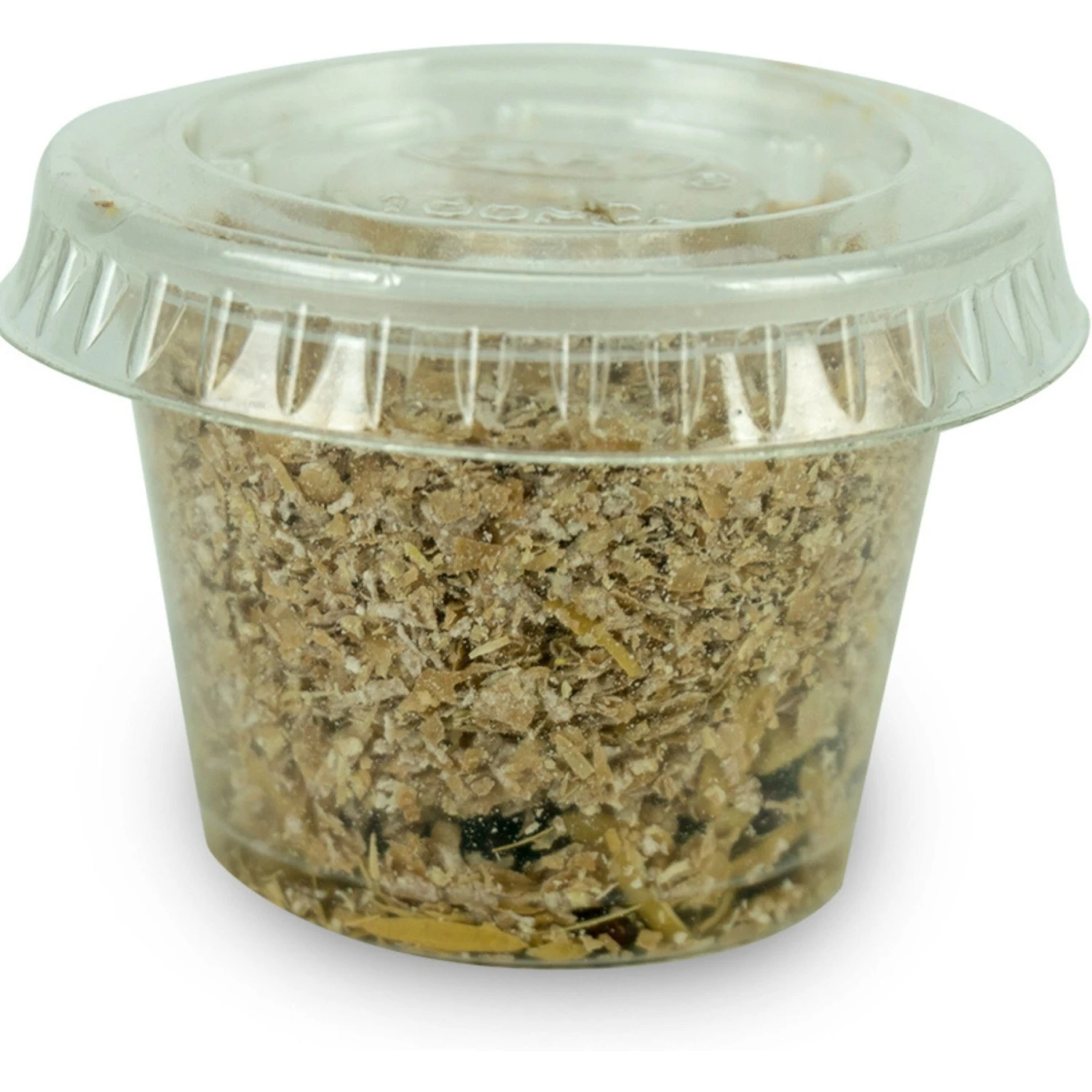 Josh's Frogs House Fly Pupae Live Feed Reptile Food - Image 8