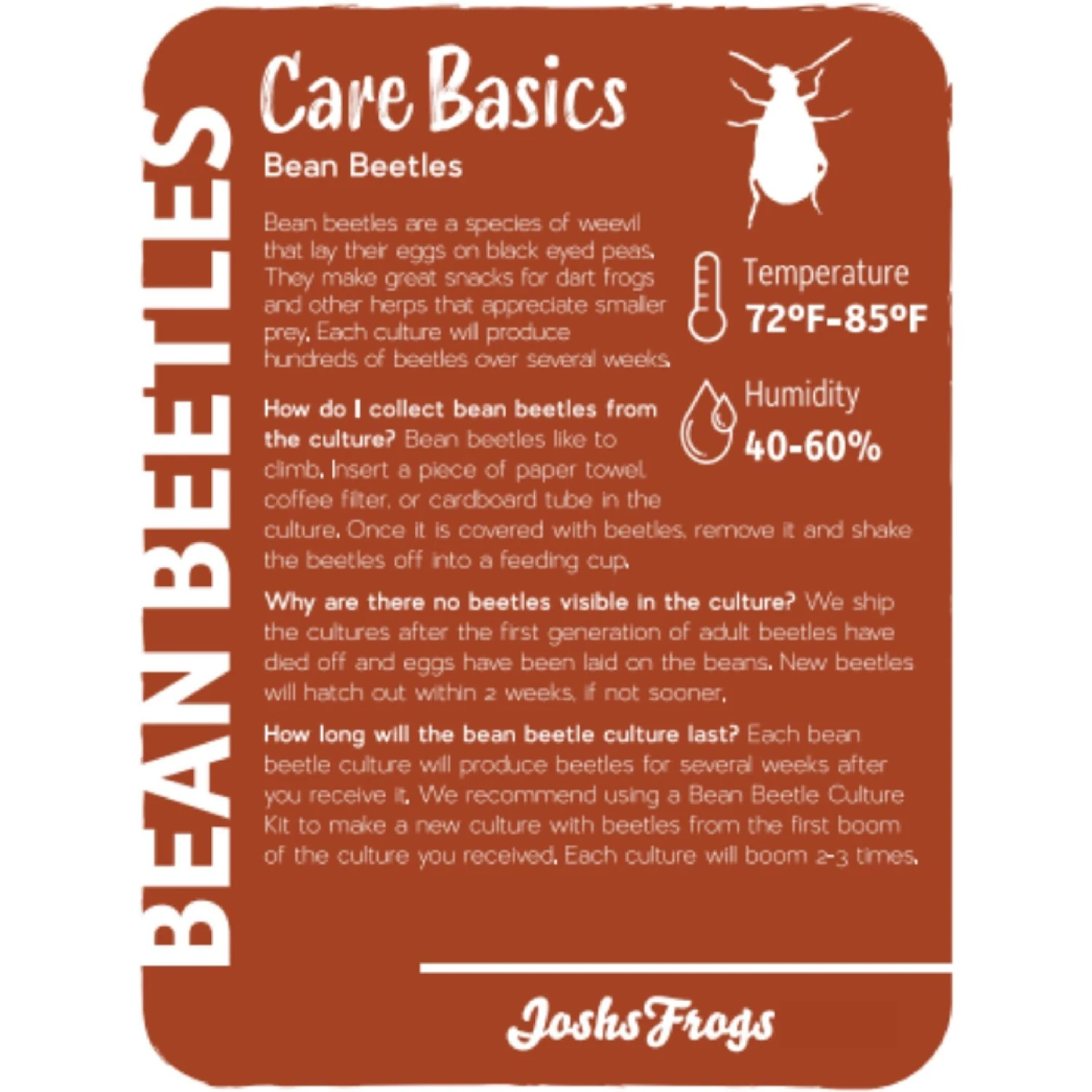 Josh's Frogs Bean Beetle Culture Live Feed Reptile Food, 16-oz Tub - Image 2