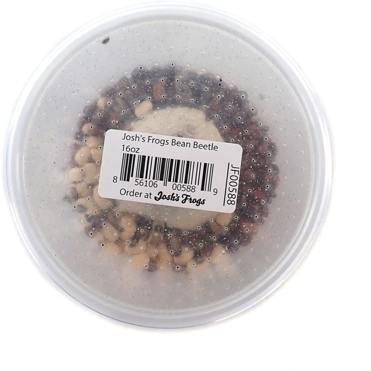 Josh's Frogs Bean Beetle Culture Live Feed Reptile Food, 16-oz Tub - Image 3