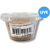 Josh's Frogs Mealworms Live Feed Reptile Food
