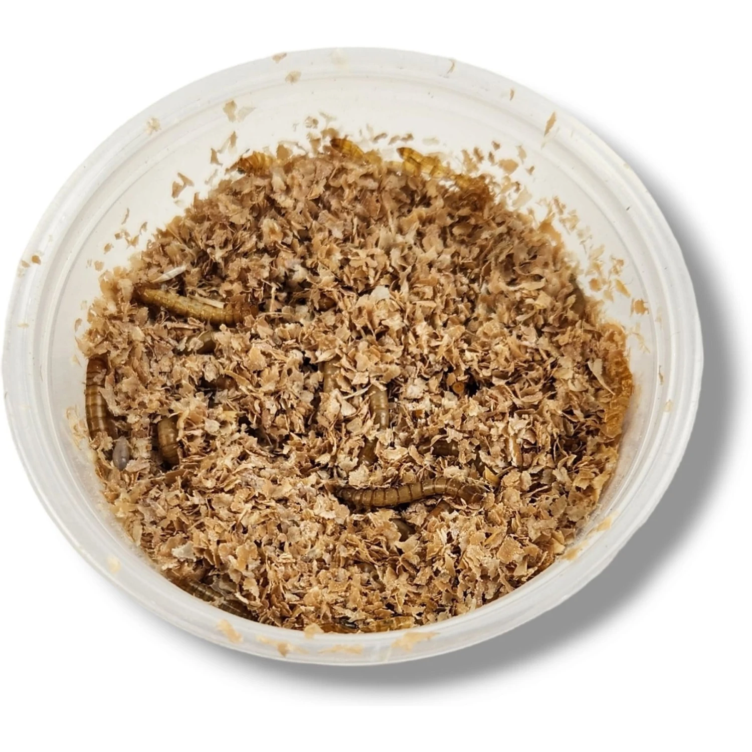 Josh's Frogs Mealworms Live Feed Reptile Food - Image 3