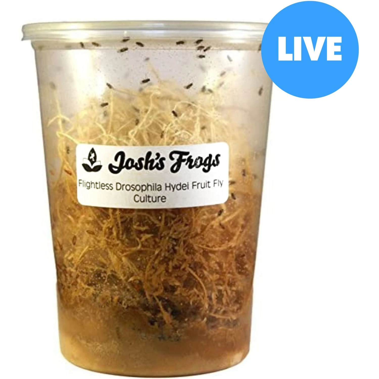 Josh's Frogs Producing Flightless Drosophila Hydei Fruit Fly Culture Live Feed Reptile Food