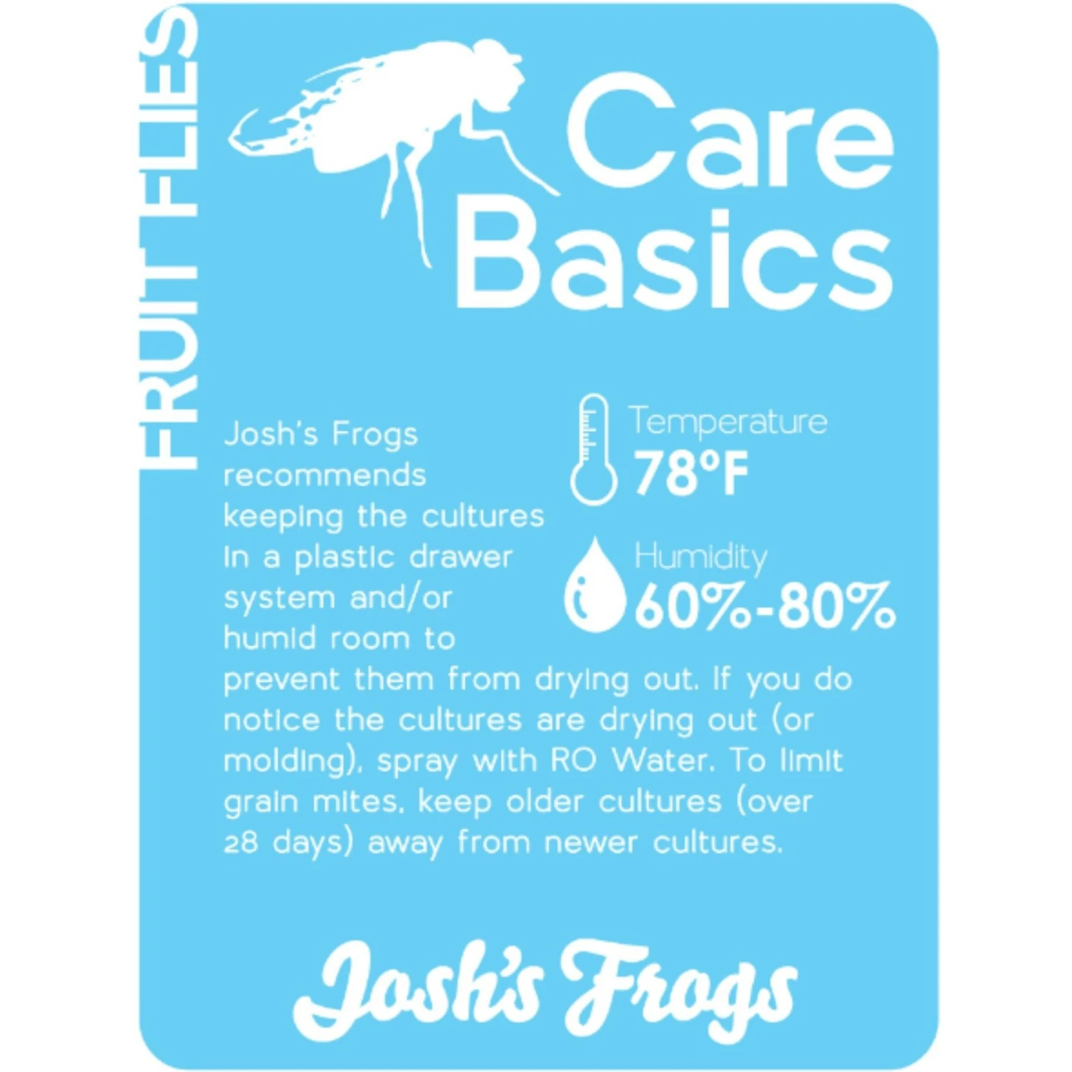 Josh's Frogs Producing Flightless Golden Hydei Fruit Fly Culture Live Feed Reptile Food - Image 2