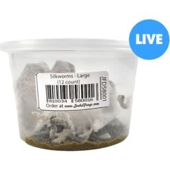 Josh's Frogs Silkworms Live Feed Reptile Food, Large, 12 Count