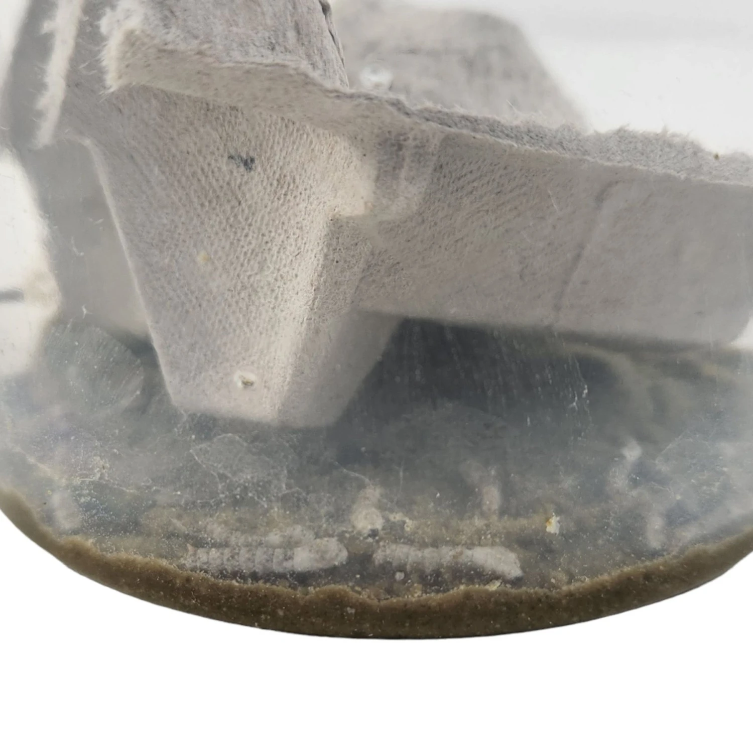 Josh's Frogs Silkworms Live Feed Reptile Food, Small, 25 Count - Image 3