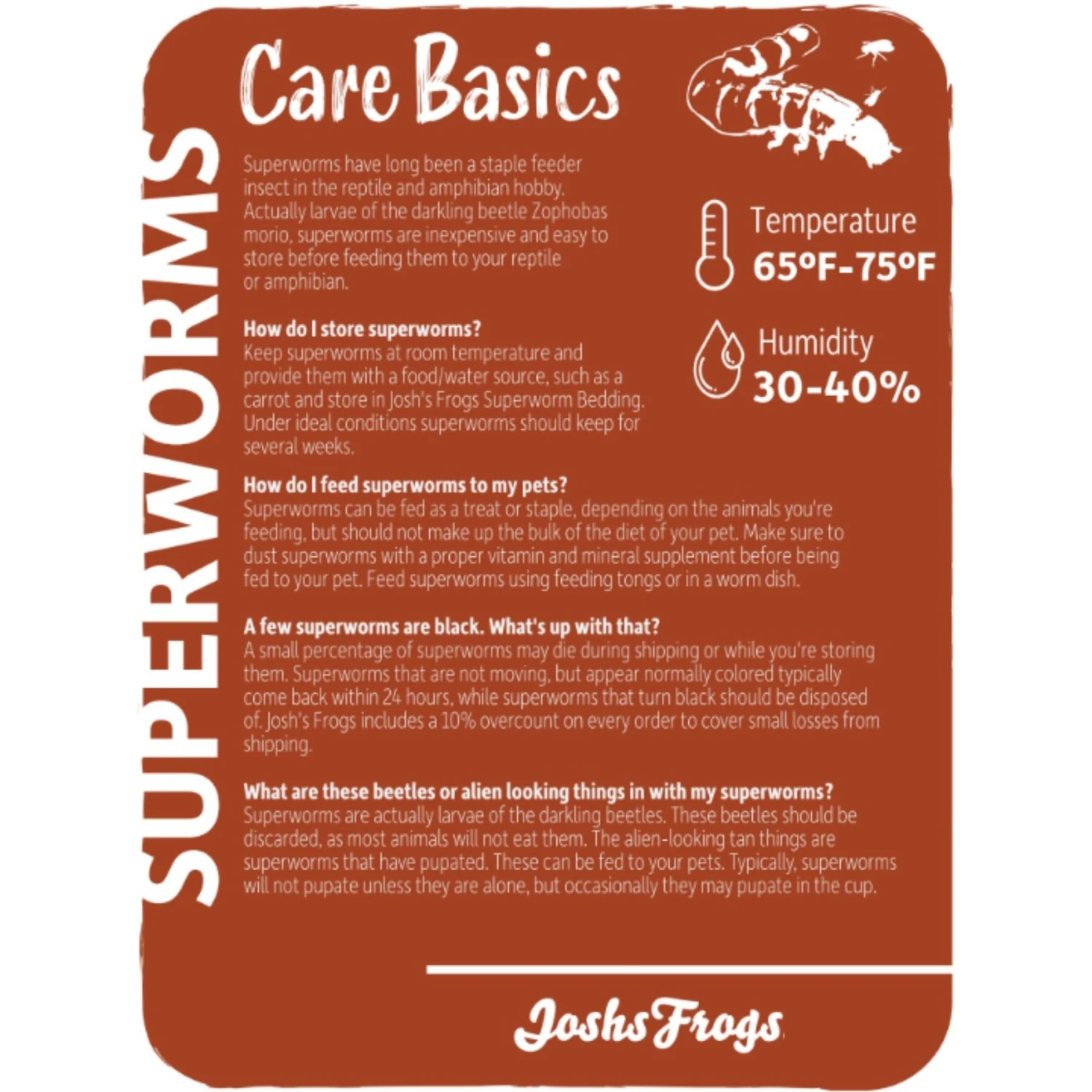 Josh's Frogs Superworms Live Feed Reptile Food - Image 2