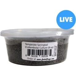 Josh's Frogs Temperate Springtail Collembola Culture Live Feed Reptile Food
