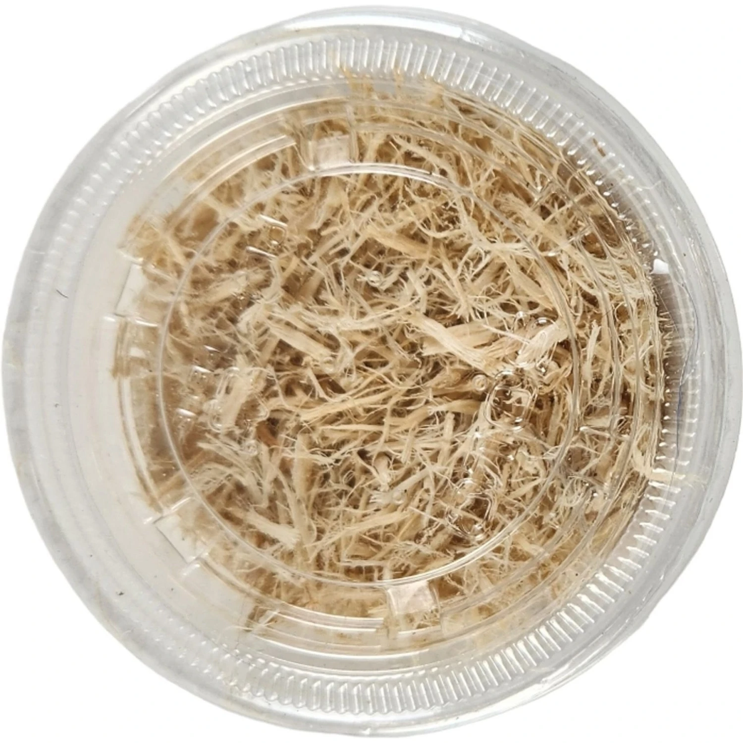 Josh's Frogs Waxworms Live Feed Reptile Food - Image 3