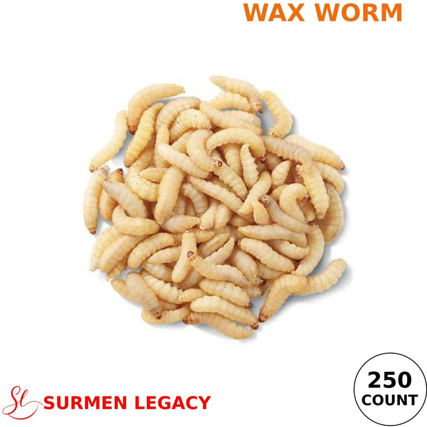 SURMEN LEGACY Waxworms Live Feed Reptile Food, 250 Count - Image 2