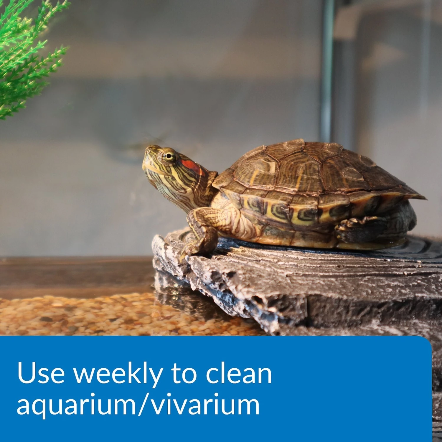 API Turtle Sludge Destroyer Aquarium Cleaner - Image 3