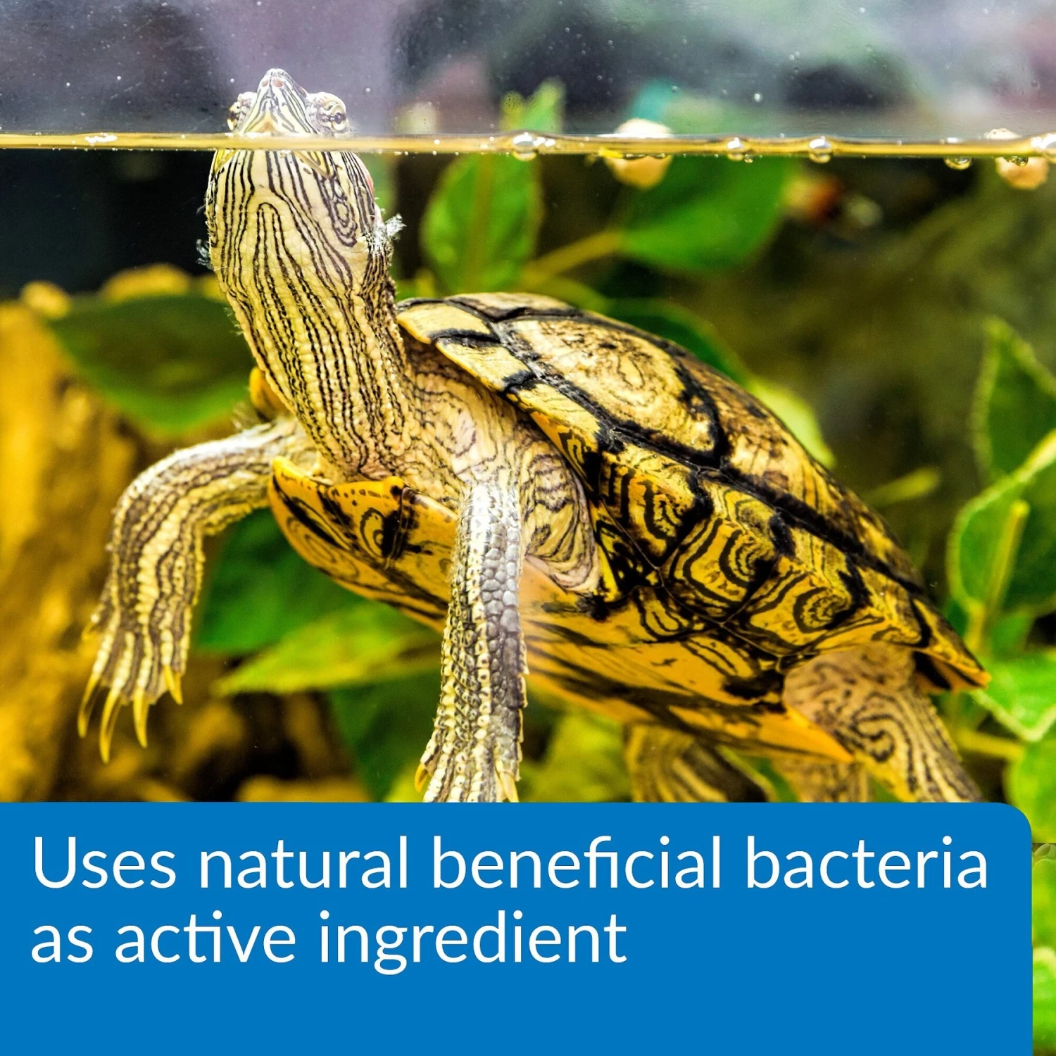 API Turtle Sludge Destroyer Aquarium Cleaner - Image 5