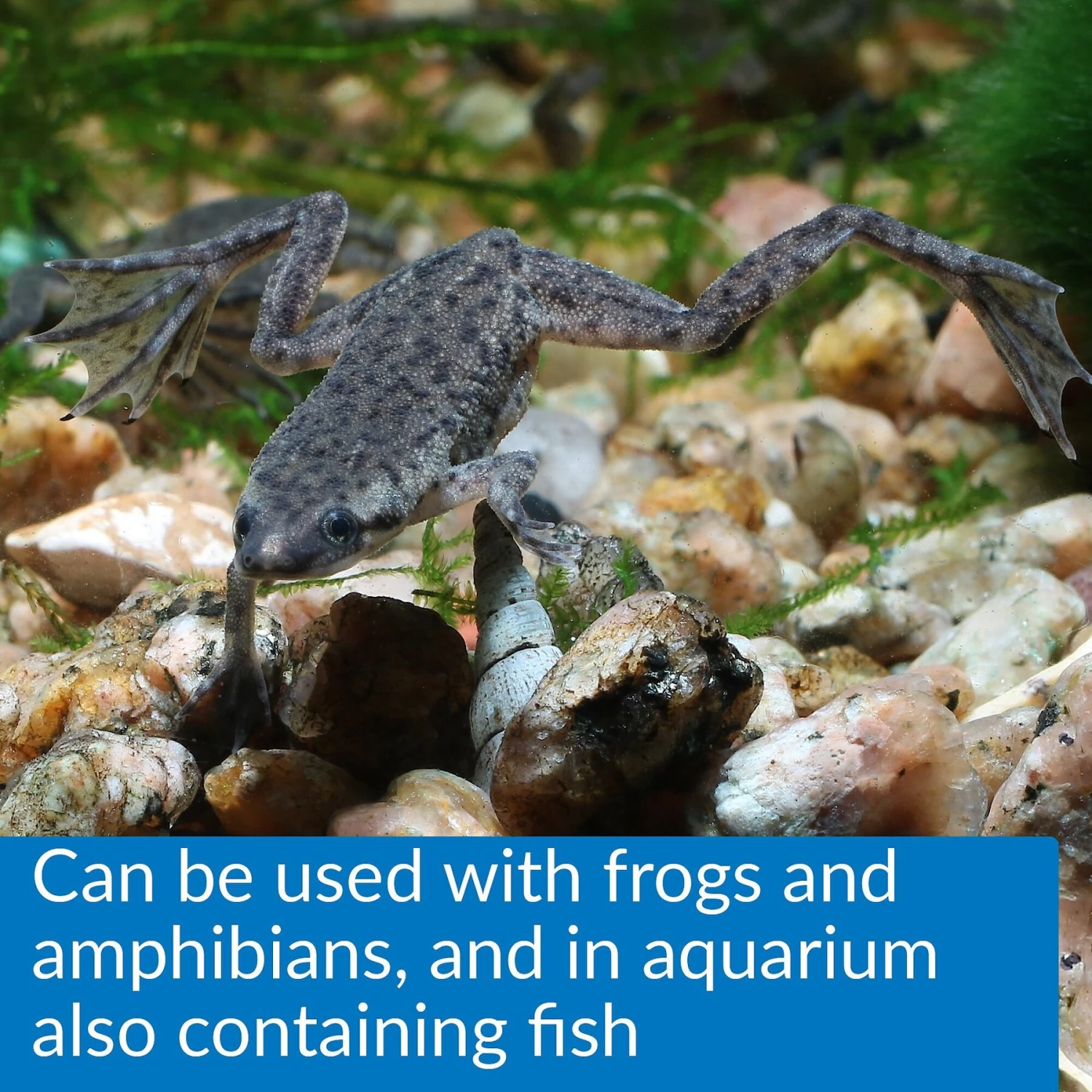 API Turtle Sludge Destroyer Aquarium Cleaner - Image 6