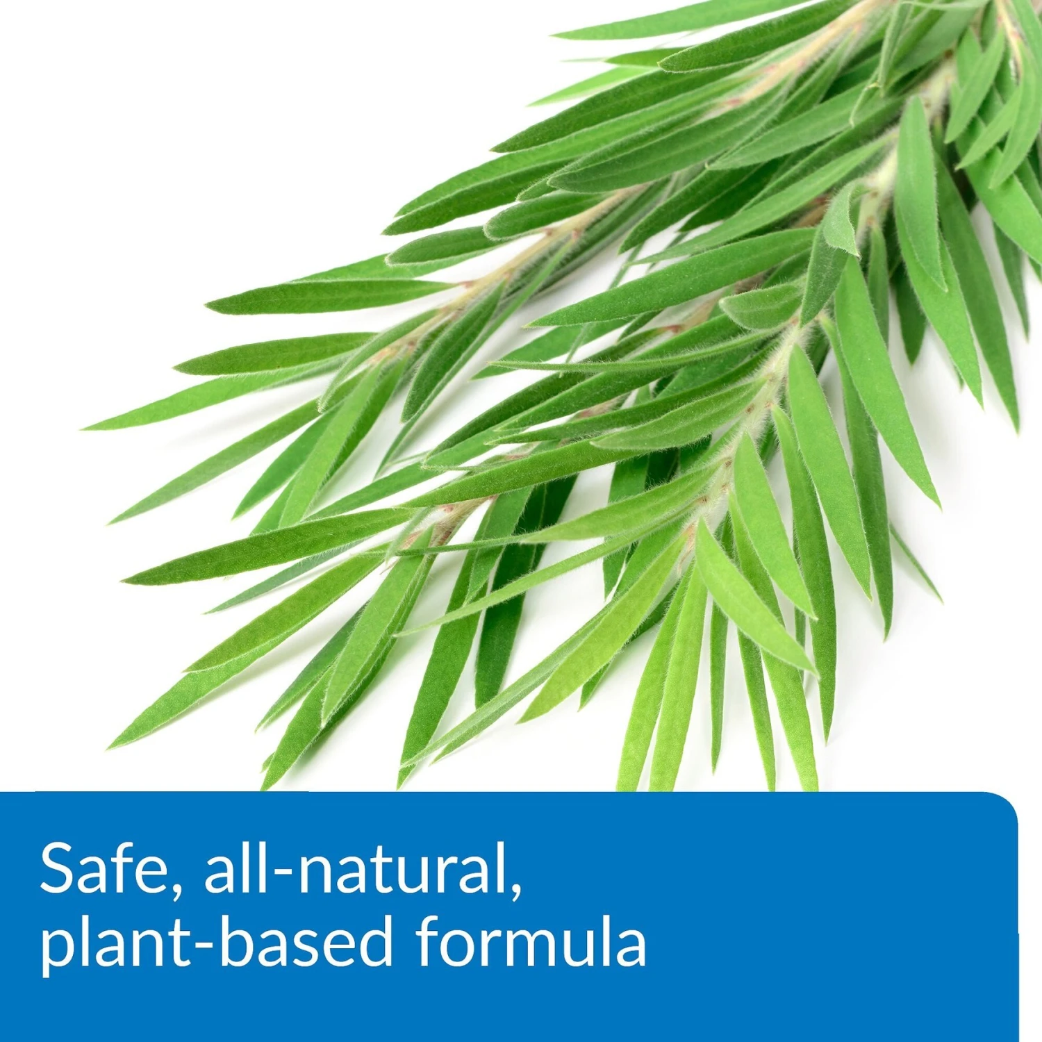 API Turtle Fix Antibacterial Treatment - Image 5