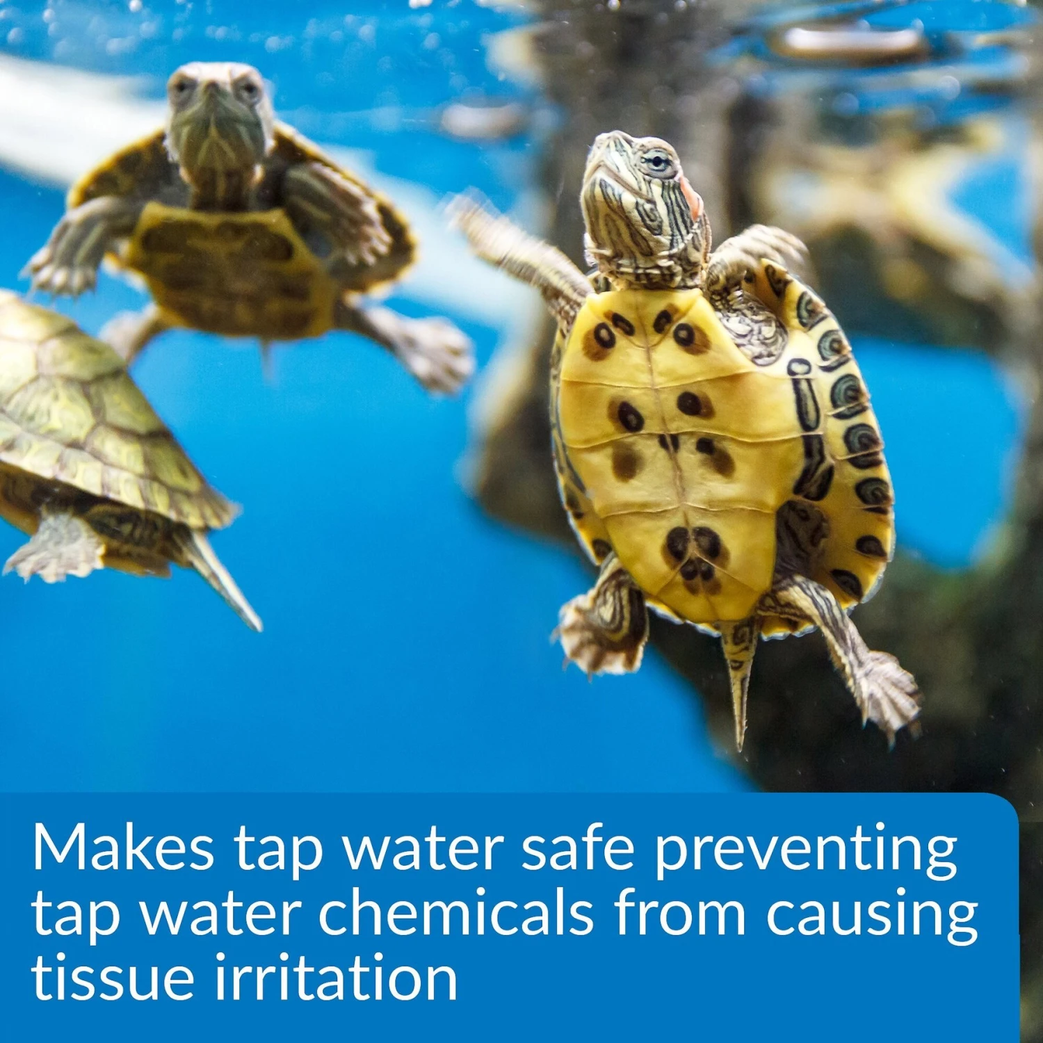 API Turtle Water Conditioner - Image 4