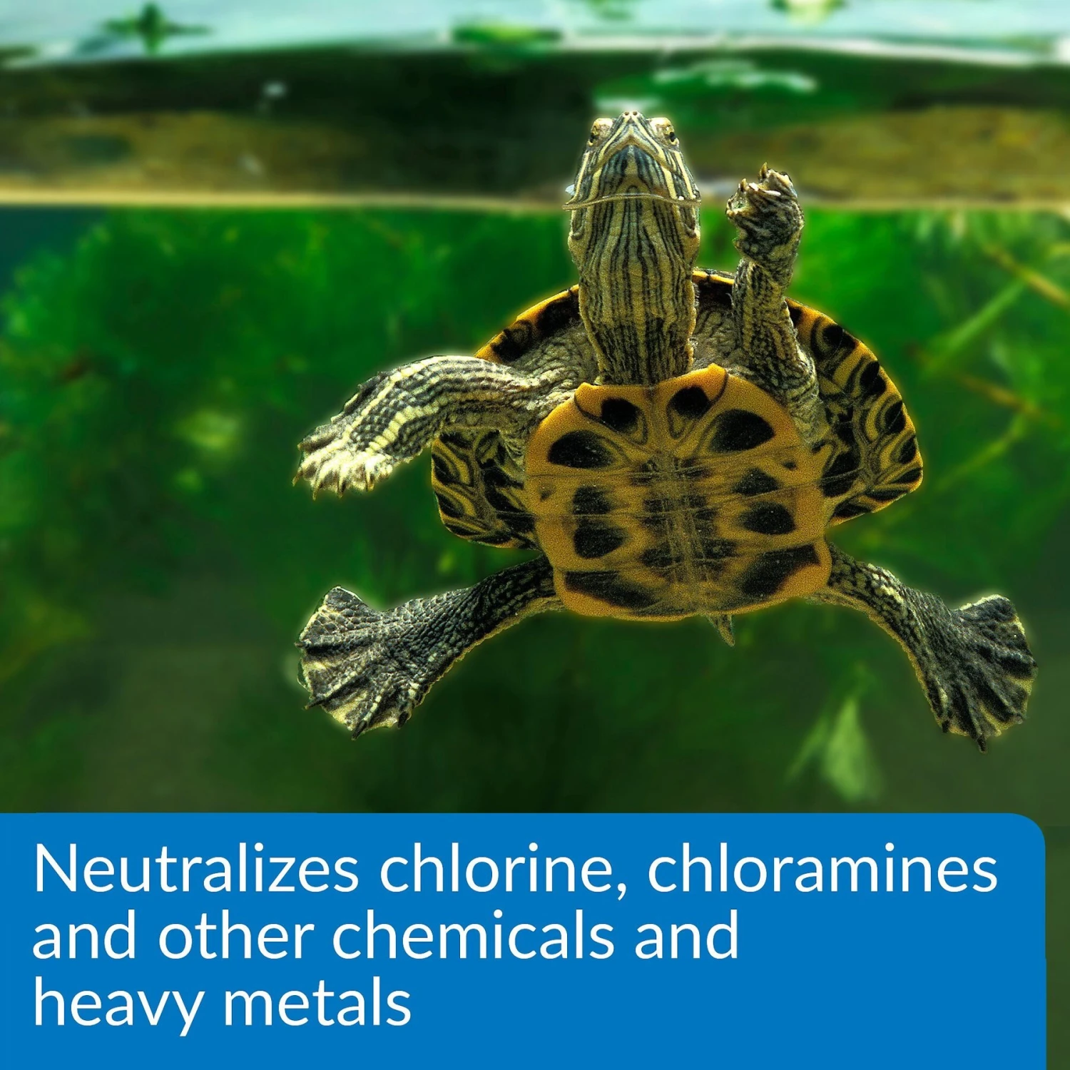 API Turtle Water Conditioner - Image 5