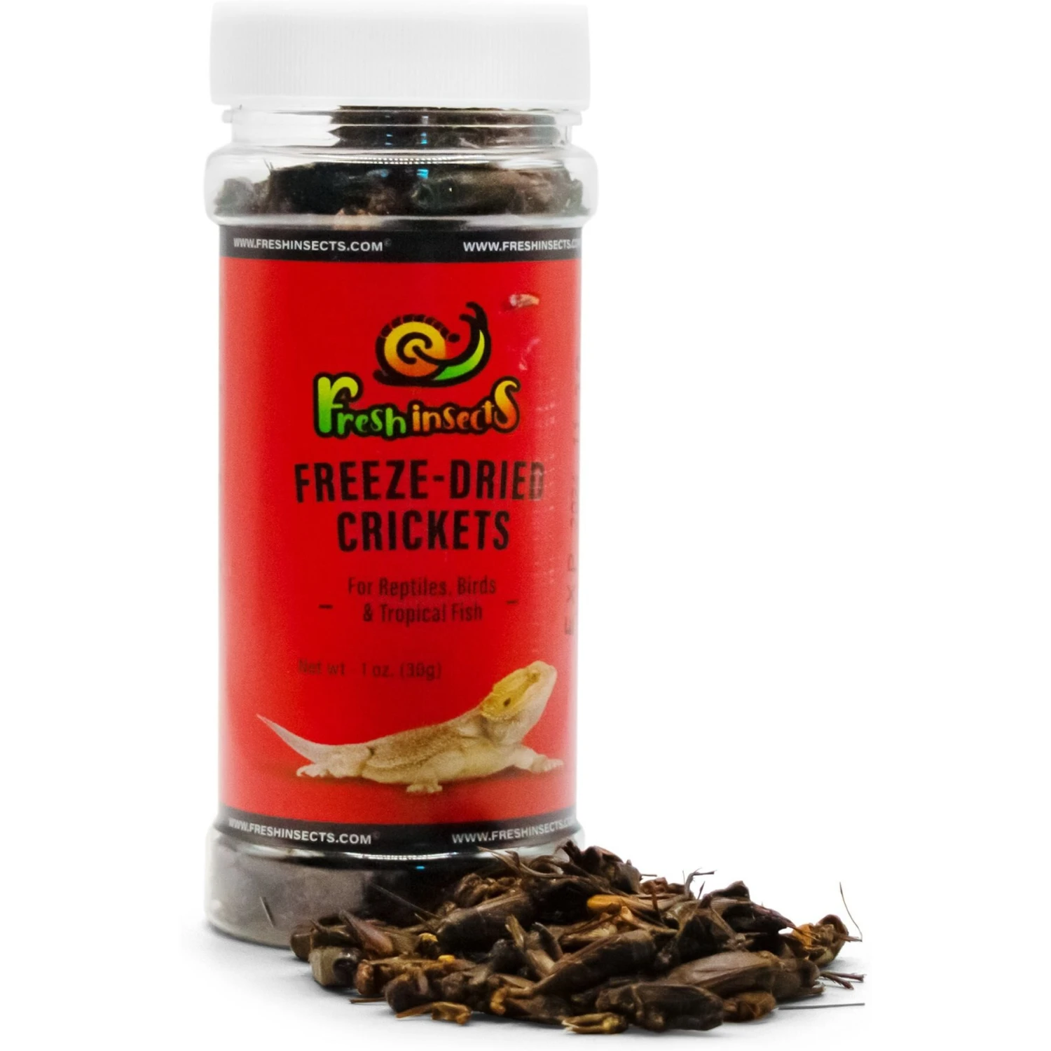 Freshinsects Freeze-Dried Crickets Treats, 1-oz Jar - Image 2