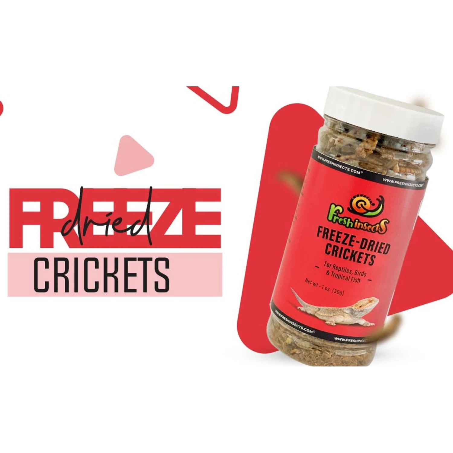 Freshinsects Freeze-Dried Crickets Treats, 1-oz Jar - Image 4