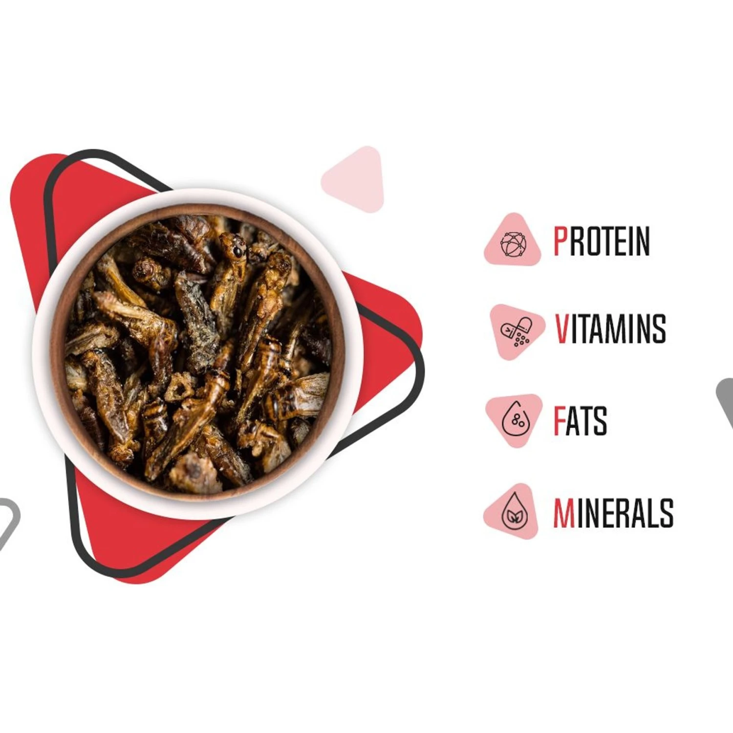 Freshinsects Freeze-Dried Crickets Treats, 1-oz Jar - Image 5