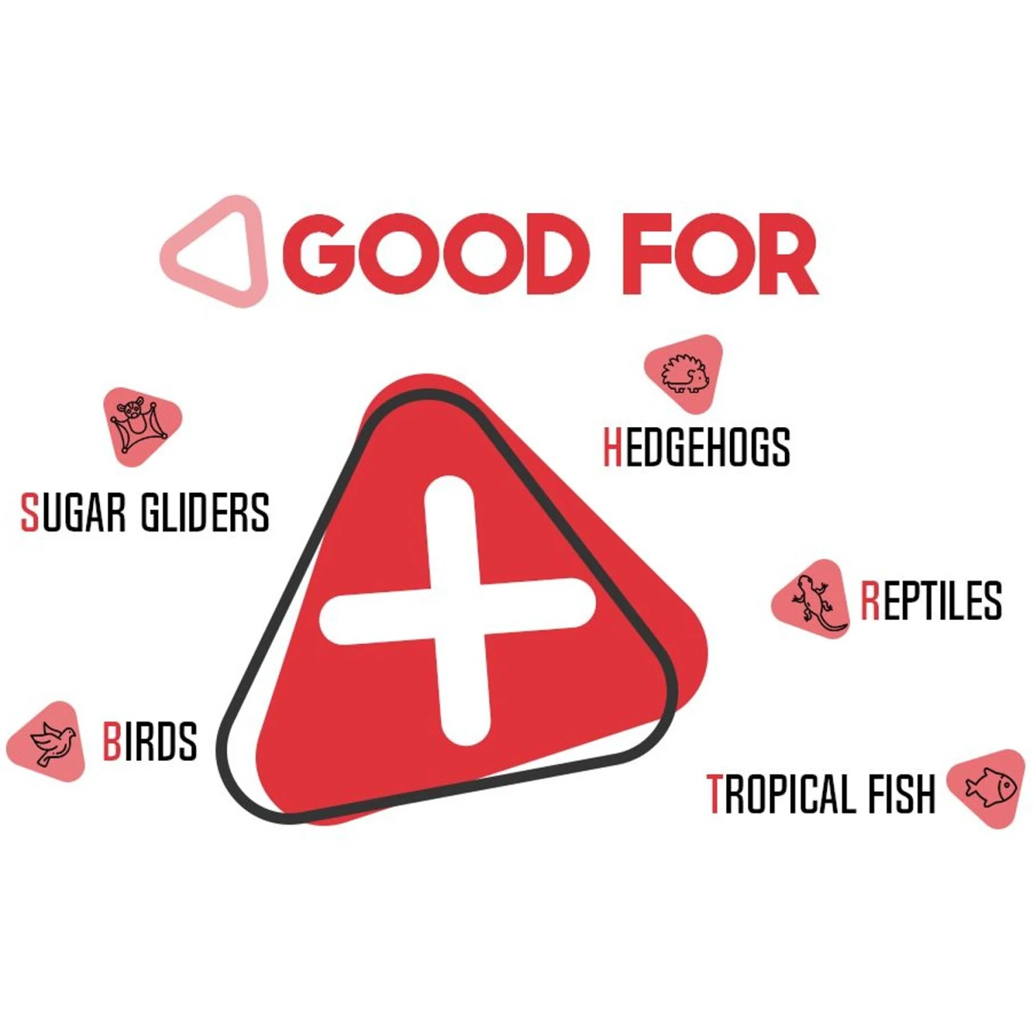 Freshinsects Freeze-Dried Crickets Treats, 1-oz Jar - Image 7