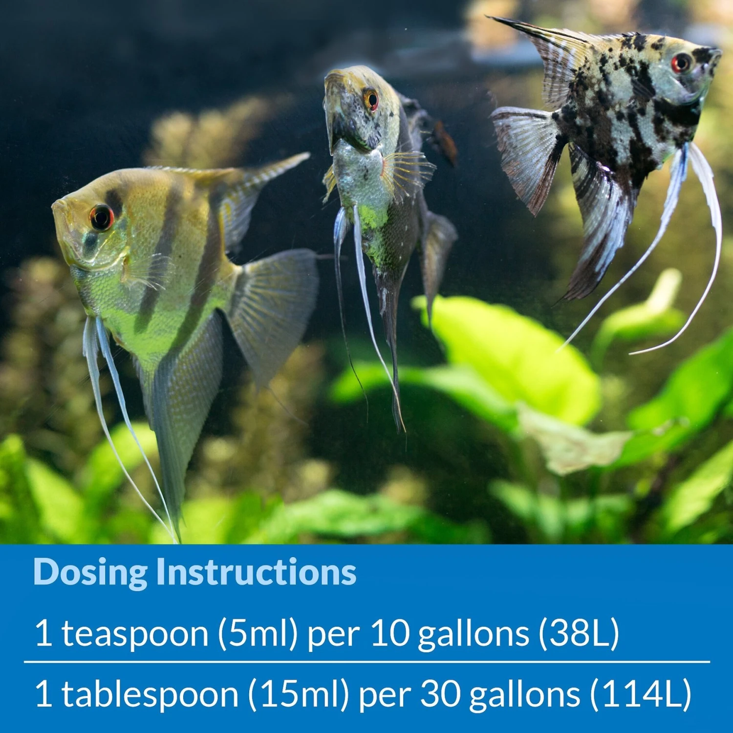 API Stress Coat Aquarium Water Conditioner - Image 6